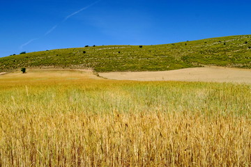 Canvas Print - Andalucia. Spain.