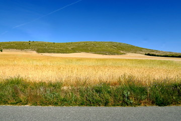 Canvas Print - Route au bord du paysage Andalousie, Espagne.