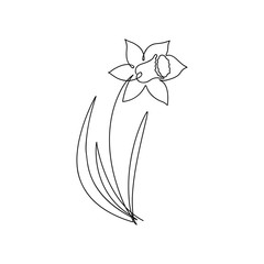 Poster - Narcissus one line drawing. Continuous line flower. Hand-drawn minimalist illustration. Vector.