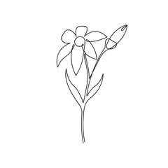 Poster - Continuous line of lily flower. Lily one line drawing. Hand-drawn minimalist illustration. Vector.