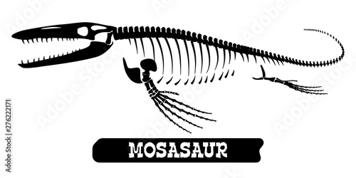 Fotomural Skeleton of a fossil waterfowl dinosaur. Mosasaur. Vector