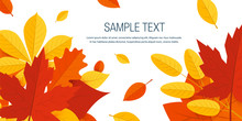 Colorful Leaves In Flat Style, Frame Template