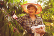 © Mihail - woman gardener in summer hat with a basket tray gather fresh berry harvest