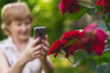 © Mihail - woman florist takes a photo of flowers on her phone in garden