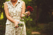 © Mihail - female florist cuts flowers roses with scissors in the garden to make bouquet
