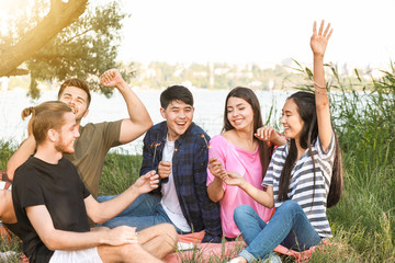 Poster - Happy friends with sparklers on picnic in park