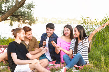 Poster - Happy friends with sparklers on picnic in park