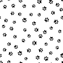 Dog Paw Print Seamless. Traces Of Cat Textile Pattern. Cat Footprint Seamless Pattern. Vector Seamless.