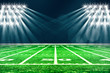 © oobqoo - Perspective of football field. Football stadium with white lines marking the pitch. Perspective elements.Ragby football field with white lines marking the pitch. 3d illustration.