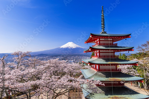 Obrazy Fudżi  arakurayama-sengen-park-kwitnaca-wisnia-w-pelnym-rozkwicie-i-gora-fuji