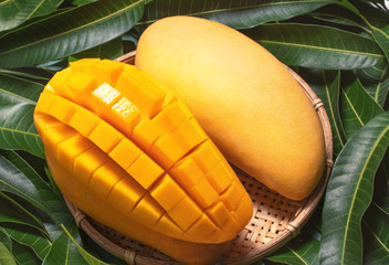 Fresh juicy beautiful diced mango fruit in bamboo basket on green leaves background, top view, close up, macro, copy space. Tropical summer concept.