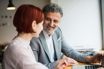 Wall Mural - Man and woman having business meeting in a cafe, using laptop.