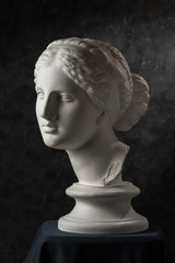 Gypsum copy of ancient statue Venus head on a dark textured background. Plaster sculpture woman face.