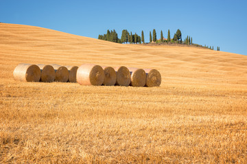 Wall Mural - beautiful typical landscape of val d'orcia in tuscany with hay bales in a field in summer, val d'orc