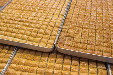 Wall Mural - Traditional Turkish dessert Baklava close-up