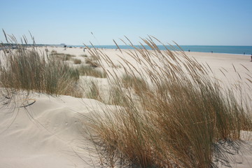 Spanish beach with golden sand Huelva