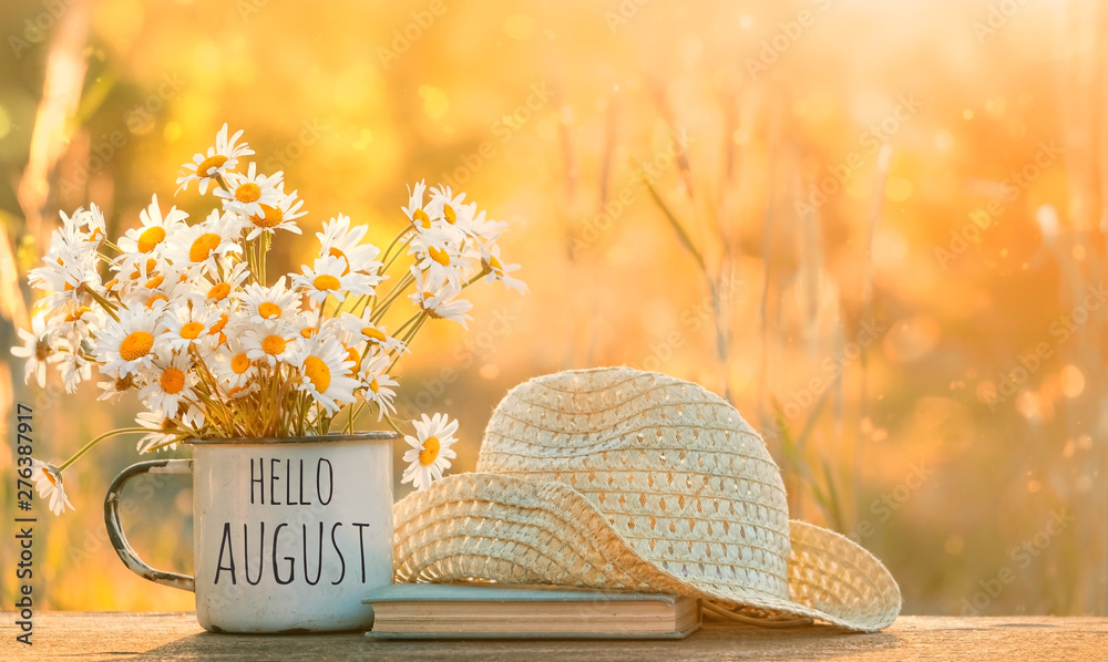 hello August. beautiful composition with chamomile flowers in Cup, old book, braided hat in garden. Rural landscape background with Chamomile in sunlight. Summertime season. soft selective focus - obrazy, fototapety, plakaty 