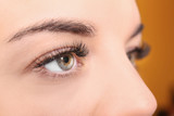 Fototapeta Panele - Beautiful young woman with eyelash extensions, closeup