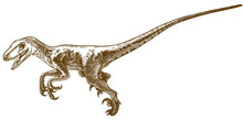 Engraving Illustration Of Deinonychus Antirrhopus