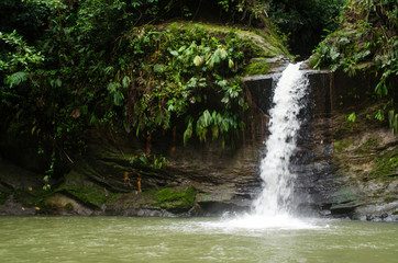  jungle water green peru river waterfall travel vacations trip