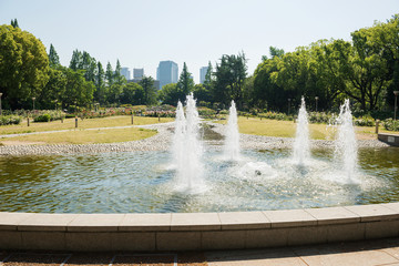 Wall Mural - 靭公園