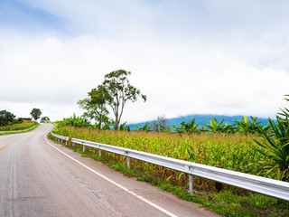 road in countryside