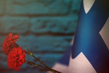 Finland flag for honour of veterans day or memorial day with two red carnation flowers mockup. Glory to the Finland heroes of war concept on light blue blurred painted brick wall. background.