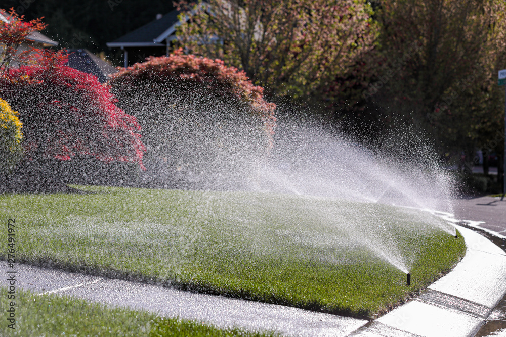 Water sprays from an automatic lawn sprinkler system over green lawn on a sunny day. - obrazy, fototapety, plakaty 