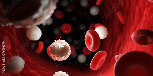 Fotografía 3d rendered medically accurate illustration of too many white blood cells due to