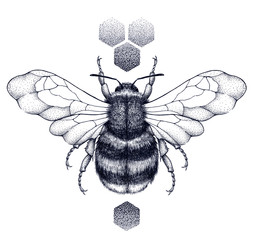 Wall Mural - Honey bee and honeycomb tattoo. Dotwork tattoo.