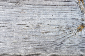 Wall Mural - Macro texture of old, grey, wooden Board.