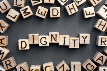 Fototapete - the word dignity wooden cubes with burnt letters, respect in society, gray background top view, scattered cubes around random letters