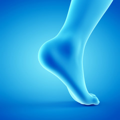 Poster - 3d rendered medically accurate illustration of a walking foot