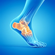 3d rendered medically accurate illustration of a painful ankle