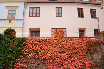 Canvas Print - Side shot of the house in the town; Krems;Vienna;Austria