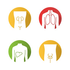 Sticker - Healthy human organs flat design long shadow glyph icons set. Kidney and liver in good health. Functioning lungs. Internal body parts in good shape. Vector silhouette illustration