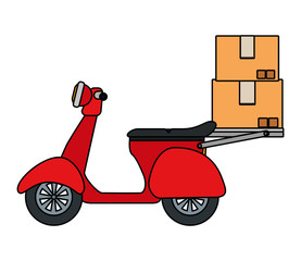 Wall Mural - bicycle vehicle transport isolated icon