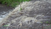 The Stream Of Dirty, Muddy Water After A Rain Runs On Stones And Flows Down In The River. Close Up. 4K.