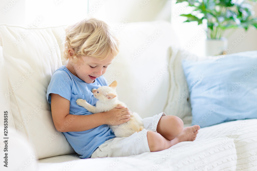 Child playing with baby cat. Kid and kitten. - obrazy, fototapety, plakaty 