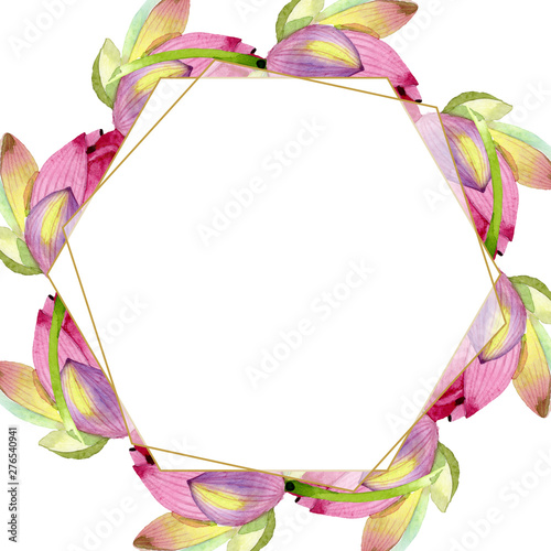 Pink lotus floral botanical flowers. Watercolor background illustration set. ...