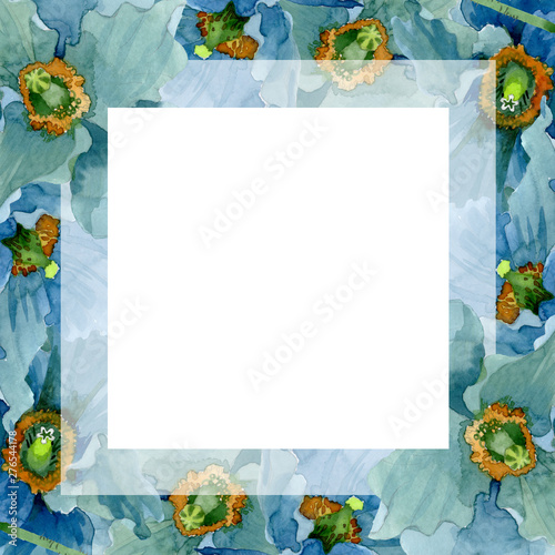 Blue poppy floral botanical flowers. Watercolor background illustration set. ...