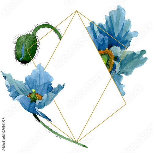 Blue poppy floral botanical flowers. Watercolor background illustration set. ...