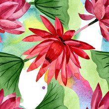 Red Lotus Floral Botanical Flower. Watercolor Background Illustration Set. Seamless Background Pattern.
