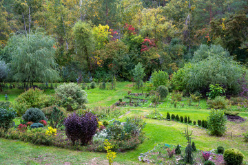 Wall Mural - The area of the garden with young plants