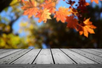 Beautiful blurred nature autumn forest background and empty wooden table.