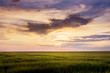 © Volodymyr - Dark clouds during the sunset above the field with grass _
