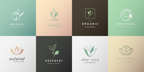 set of natural and organic logo in modern design. natural logo for branding, corporate identity, pac