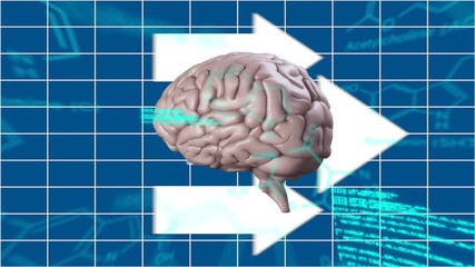 Poster - human brain with arrows