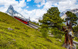 Swiss beauty, tree view to rack railway under breathtaking Matterhorn,Zermatt,Valais,Switzerland,Europe