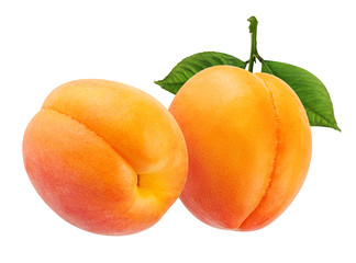 Fresh apricot isolated on white background with clipping path